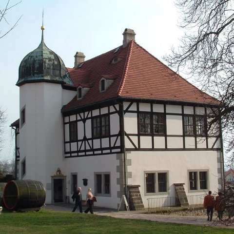 Weingut-Hoflößnitz